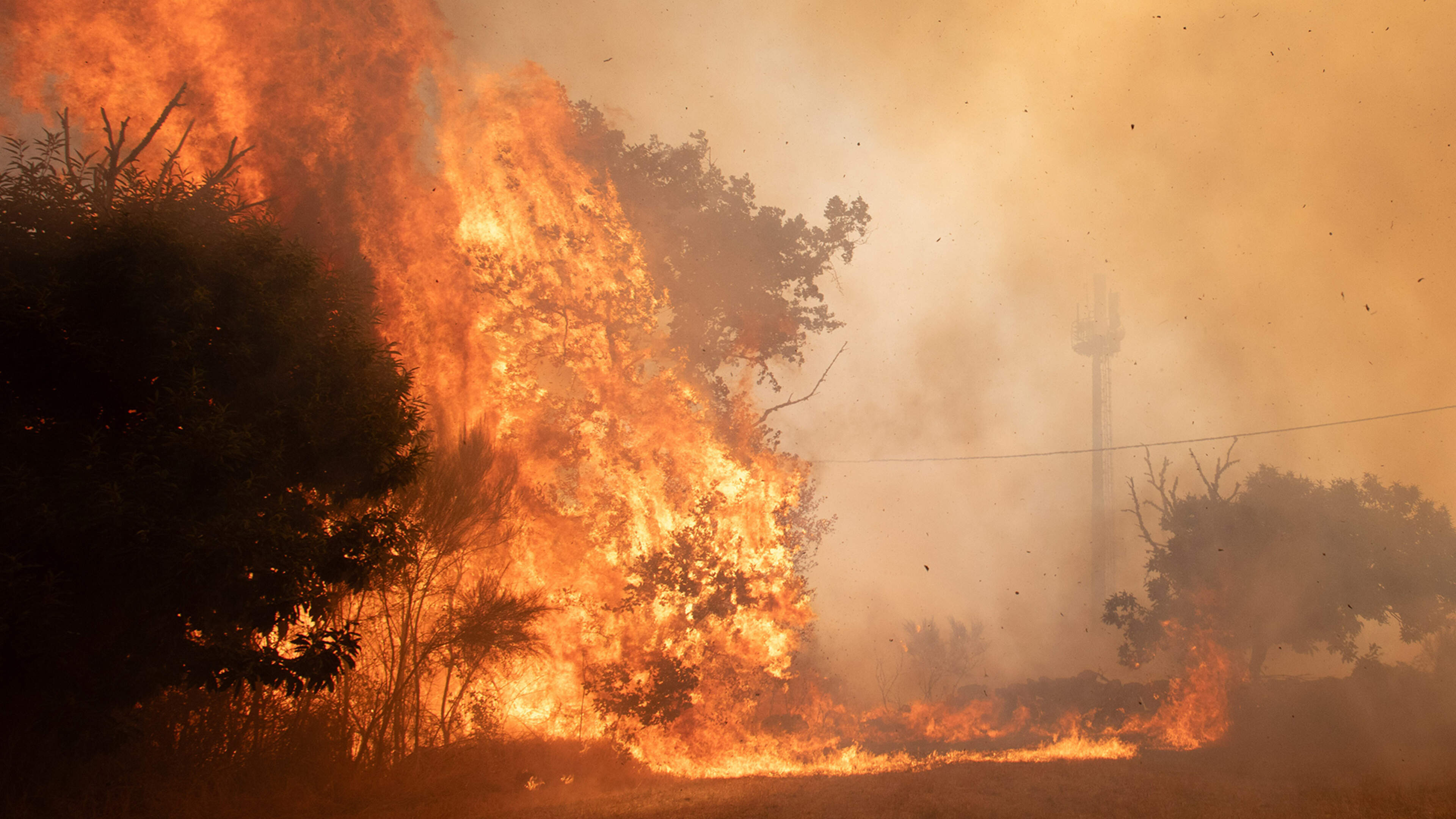 Van vonkje tot vuurzee: zo ontstaat een bosbrand